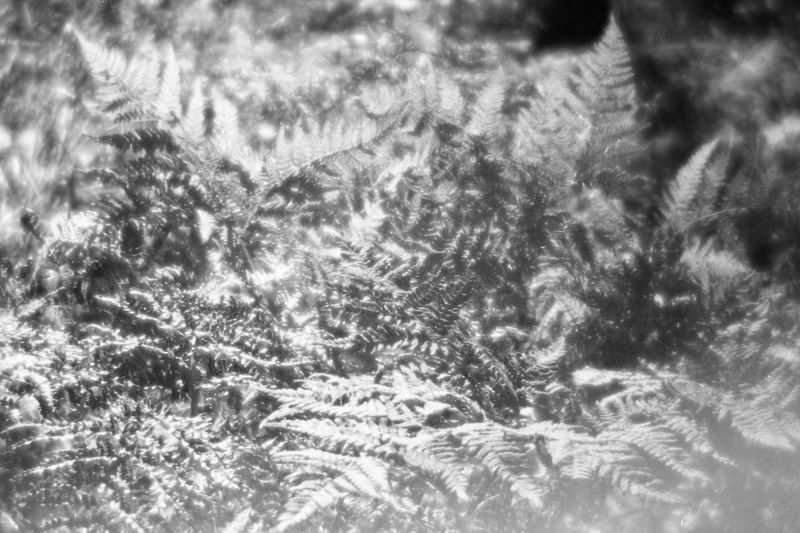 © Natasha Podunova - Image from the Came from the sea photography project