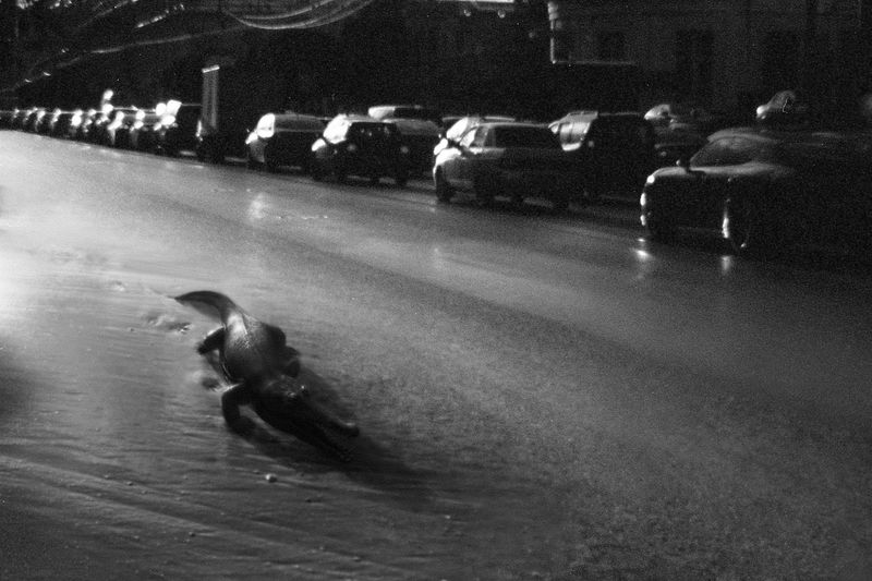 © Natasha Podunova - Image from the Came from the sea photography project