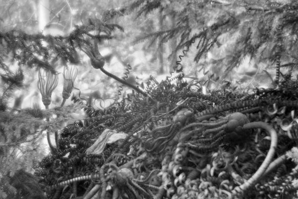 © Natasha Podunova - Image from the Came from the sea photography project