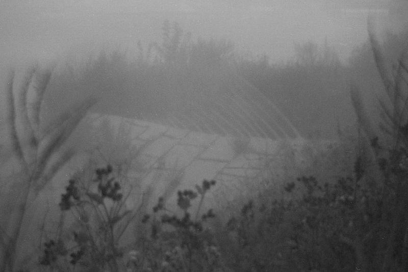 © Natasha Podunova - Image from the Came from the sea photography project