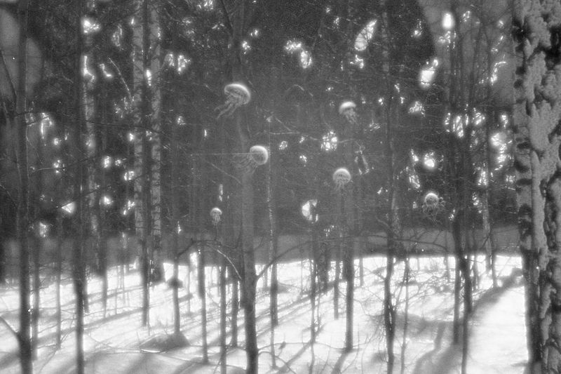 © Natasha Podunova - Image from the Came from the sea photography project