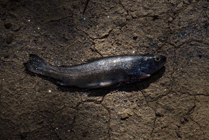 © Sara Aliaga - Image from the Water, for everyone, and for nobody. photography project