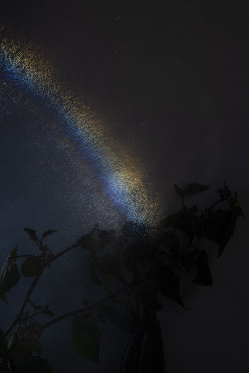 © Sara Aliaga - Image from the Water, for everyone, and for nobody. photography project