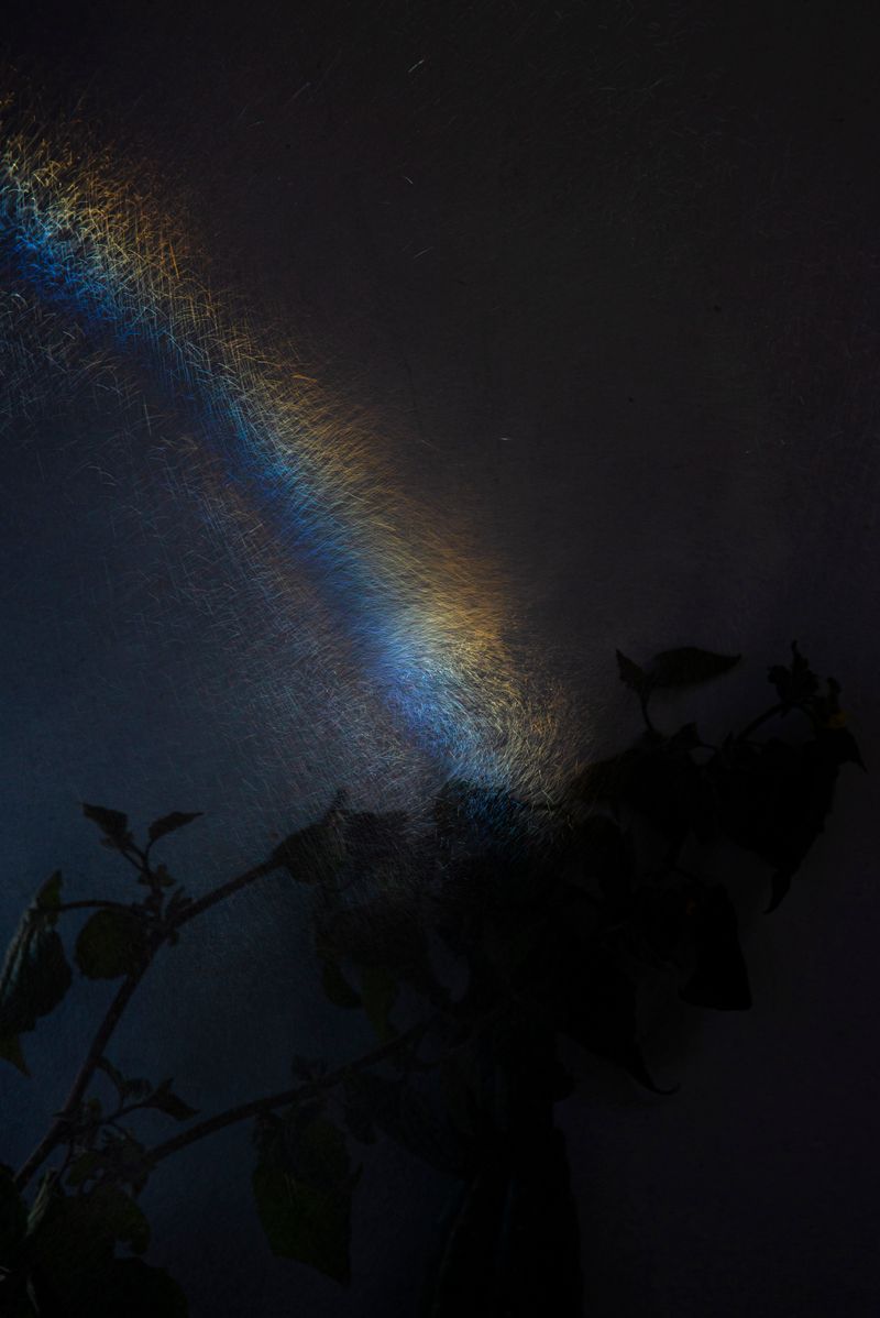 © Sara Aliaga - Image from the Water, for everyone, and for nobody. photography project