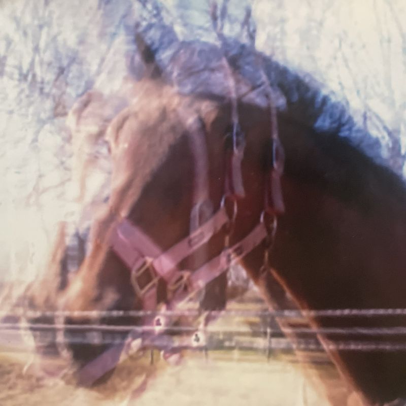 © Louise Enhörning - Image from the LOST TIME, APRODITE BEACH photography project