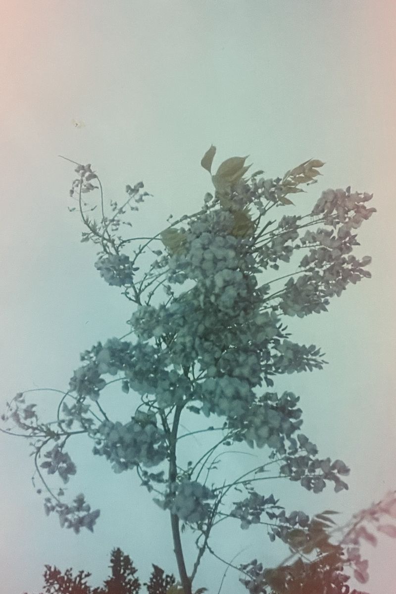 © Louise Enhörning - Image from the LOST TIME, APRODITE BEACH photography project