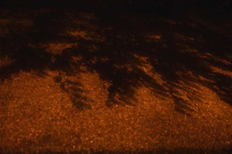 © Sofia Aldinio - Tree shadow.