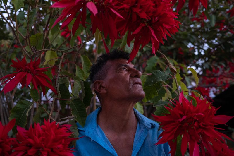 © Sofia Aldinio - Image from the Awake in the Desert Land photography project