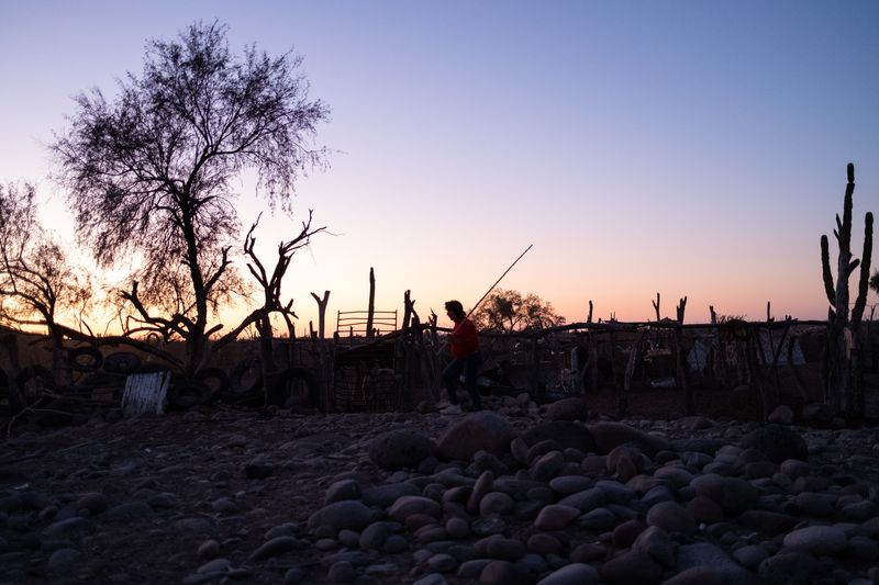 © Sofia Aldinio - Image from the Awake in the Desert Land photography project