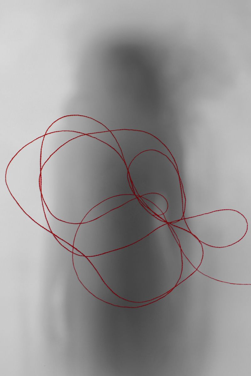 © Janine Bello - Part 2,Beginning of the symbolic part.