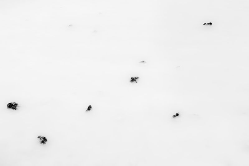 © jon gorospe - De Magnete, Iceland