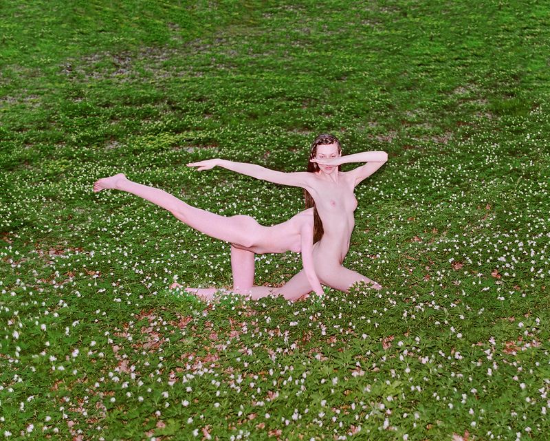 © Synchrodogs - Image from the Nature Twins photography project