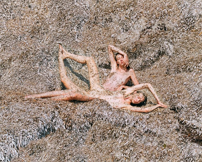 © Synchrodogs - Image from the Nature Twins photography project