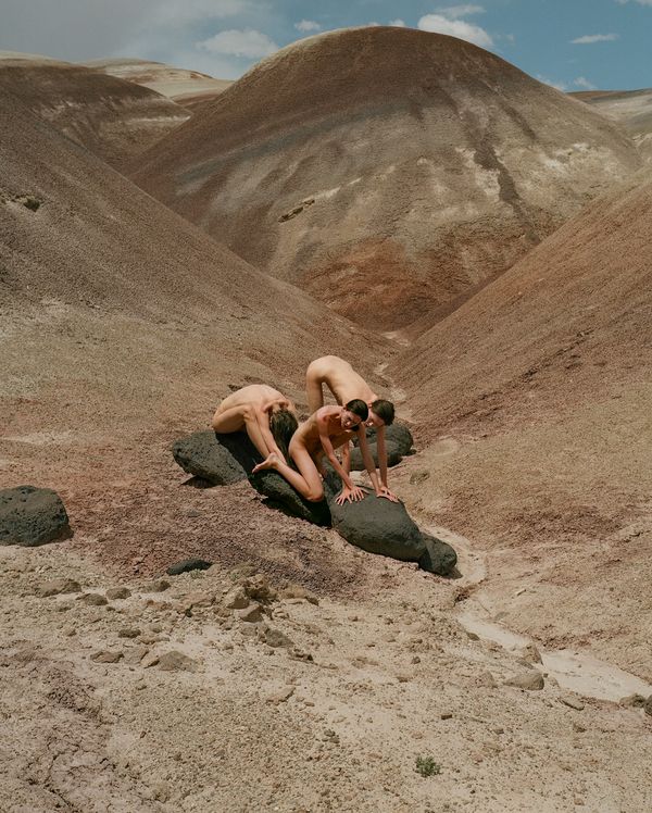 © Synchrodogs - Image from the Nature Twins photography project