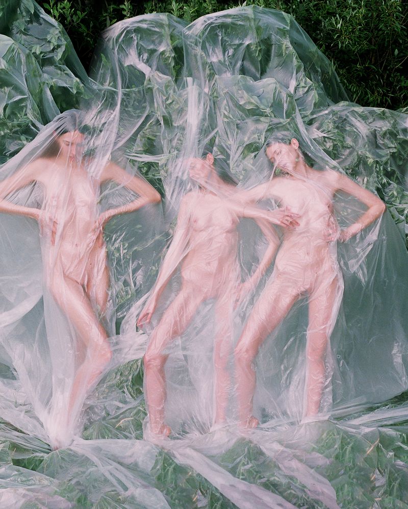 © Synchrodogs - Image from the Nature Twins photography project