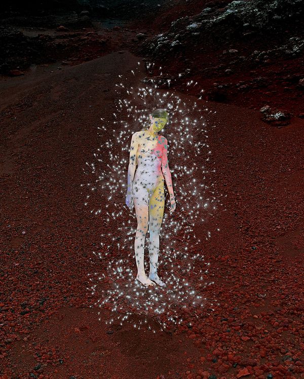 © Synchrodogs - Image from the Nature Twins photography project