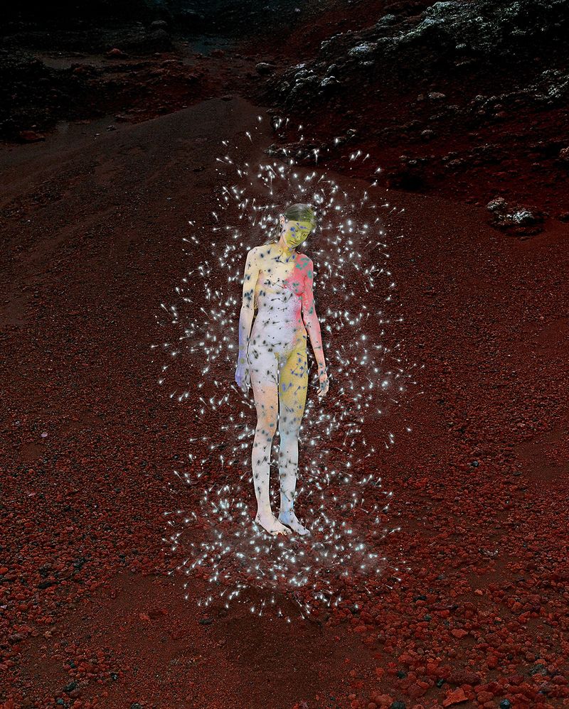 © Synchrodogs - Image from the Nature Twins photography project