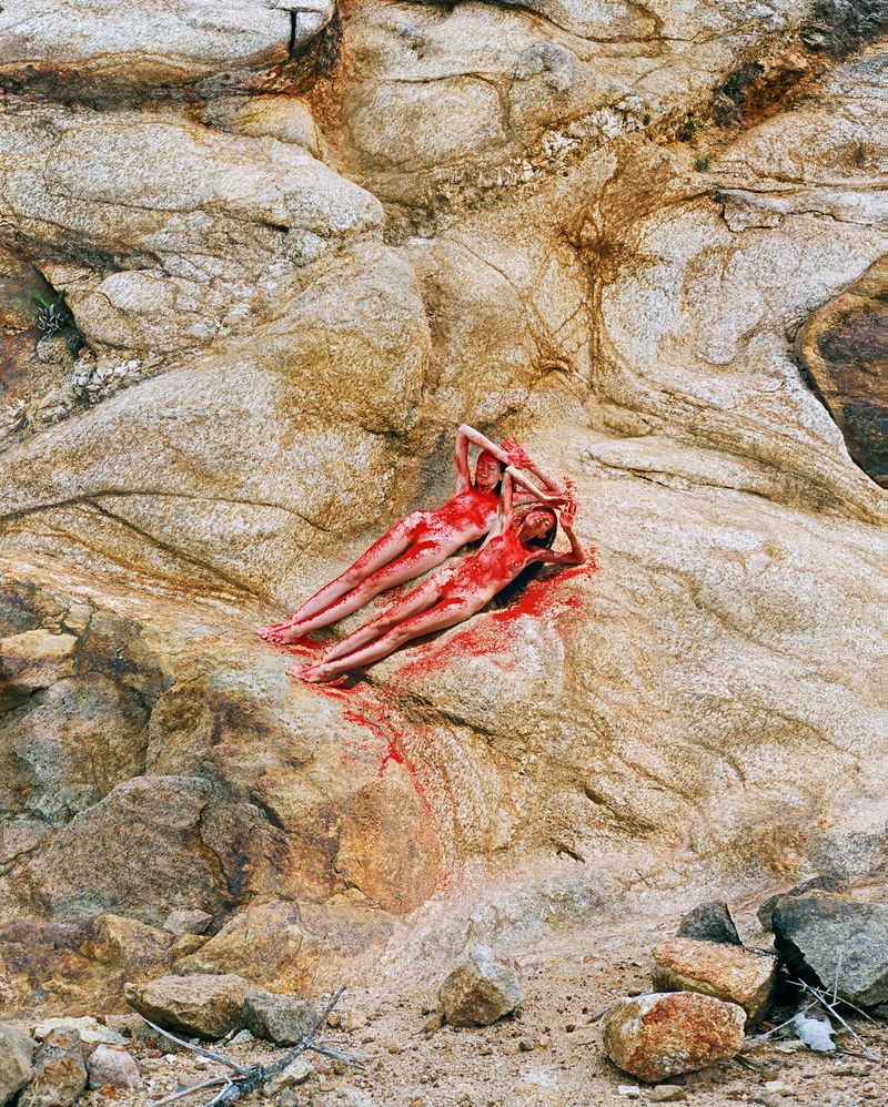 © Synchrodogs - Image from the Nature Twins photography project