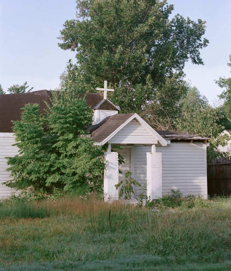 © Irene Antonia Diane Reece - One of many...