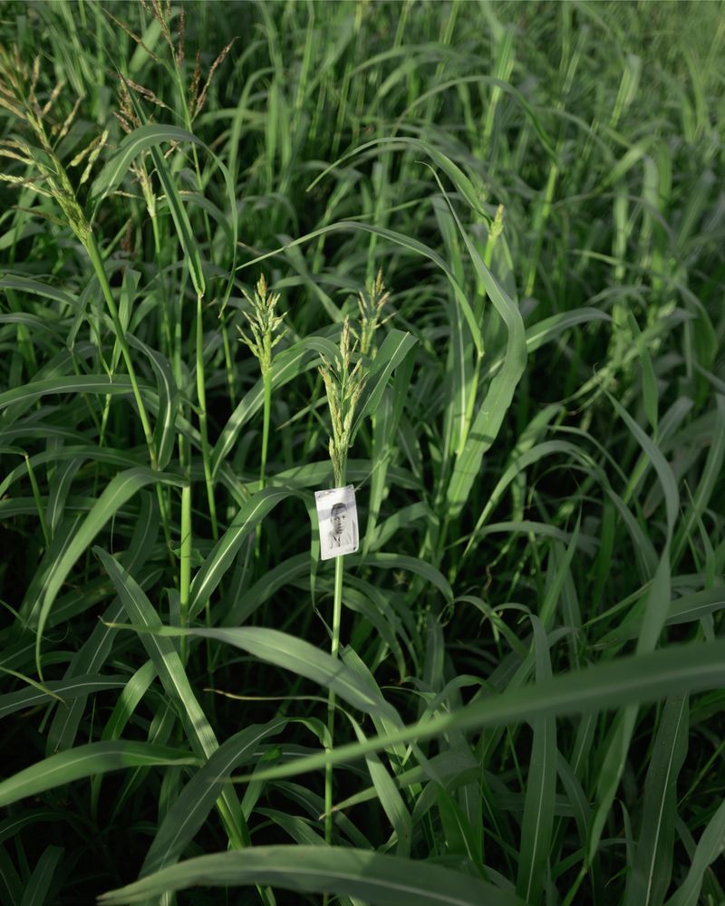 © Irene Antonia Diane Reece - A memory of memories, inkjet print, Houston, Texas