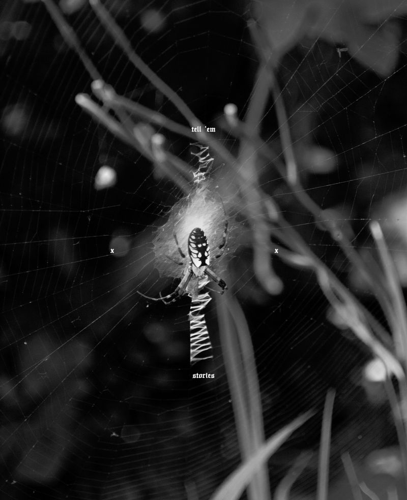 © Irene Antonia Diane Reece - tell 'em stories, inkjet print, Houston, Texas