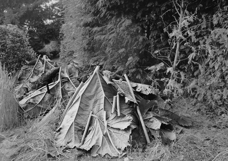 © Emma Sandström - Image from the Perhaps of Ritual Significance photography project