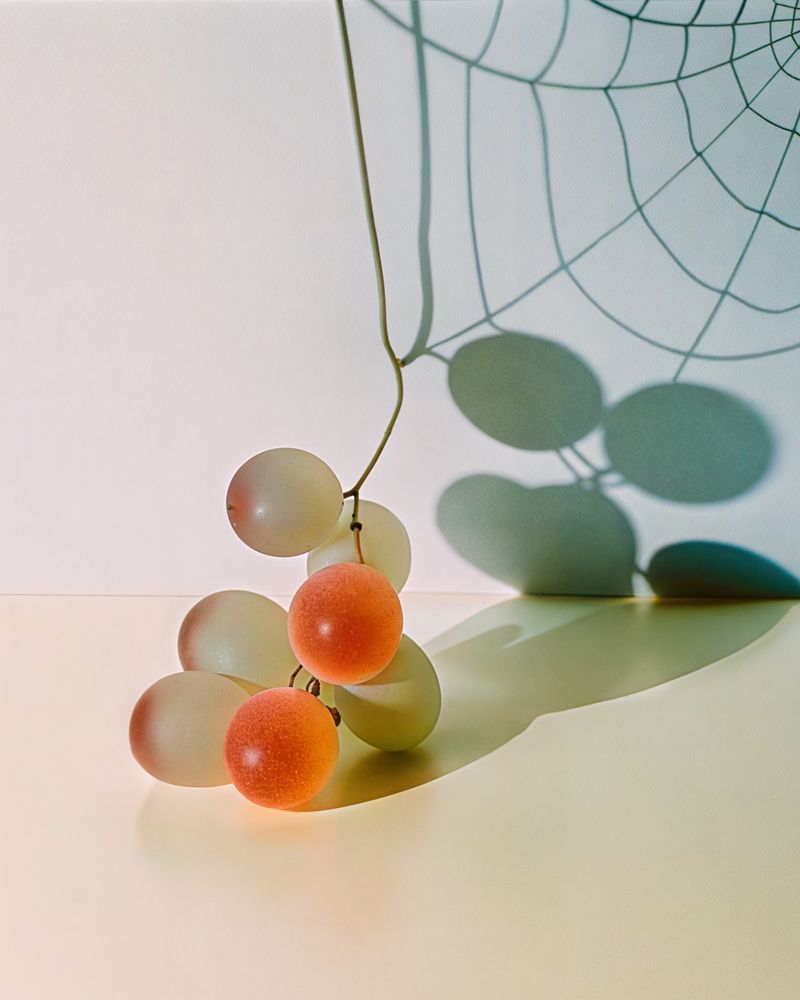 © Sun Yan - Still Life from Shadows # 16