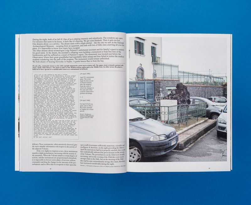 © De Cleene De Cleene - Amidst the fire, I am not burnt – Surface Reading (Roma Publications, 2024)