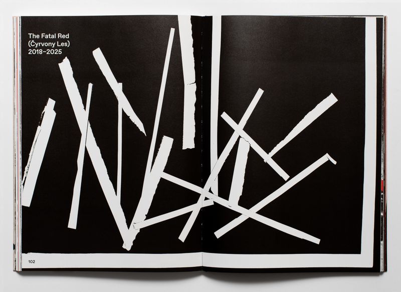 Section header (Schmutztitel) from the book Everybody Dance!