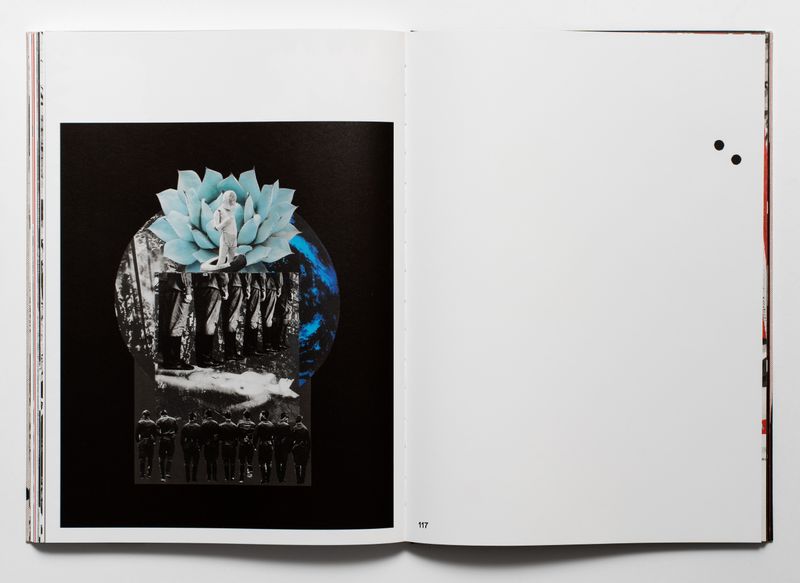 Pale Flower, from the series Čyrvony Les, 2018