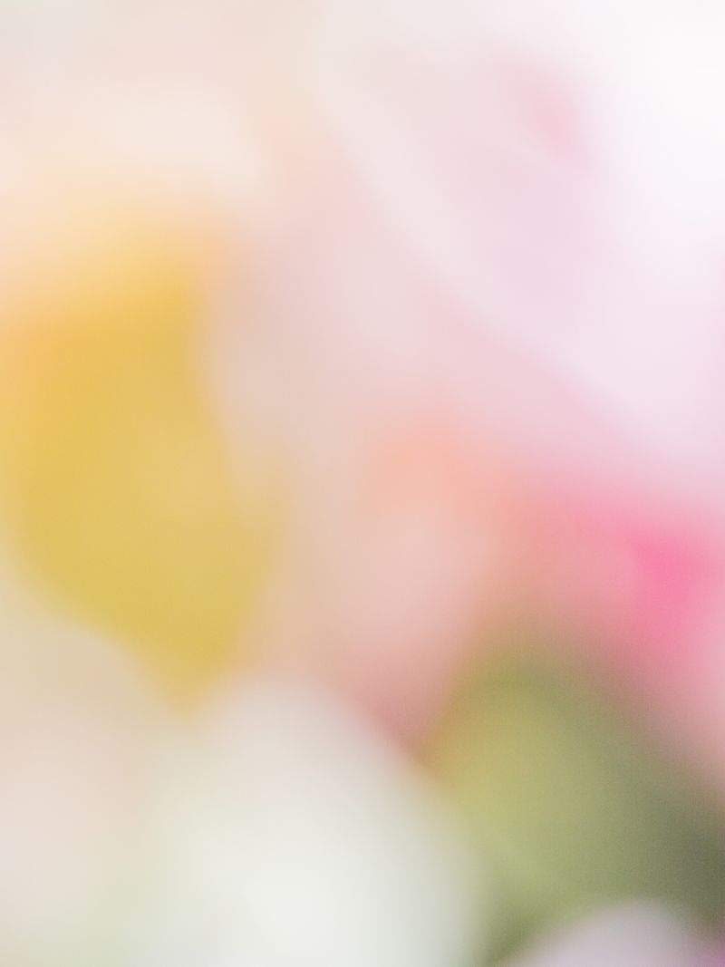 © tsutsutsu - Image from the The Preciousness of Everyday Life. photography project