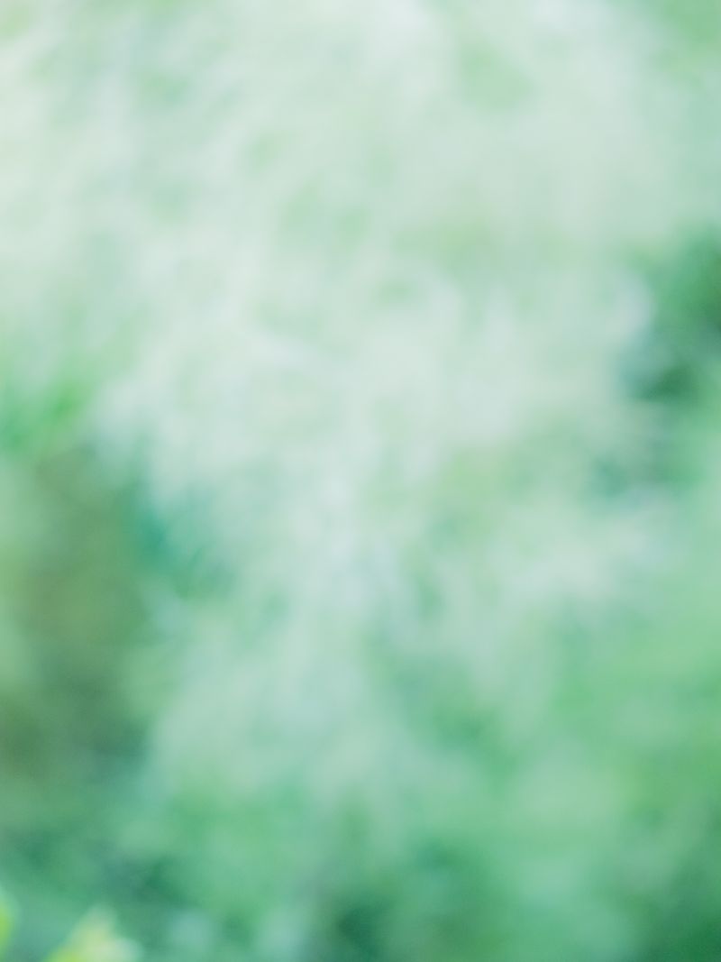 © tsutsutsu - Smoke Tree