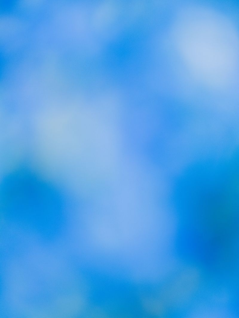 © tsutsutsu - Hydrangea