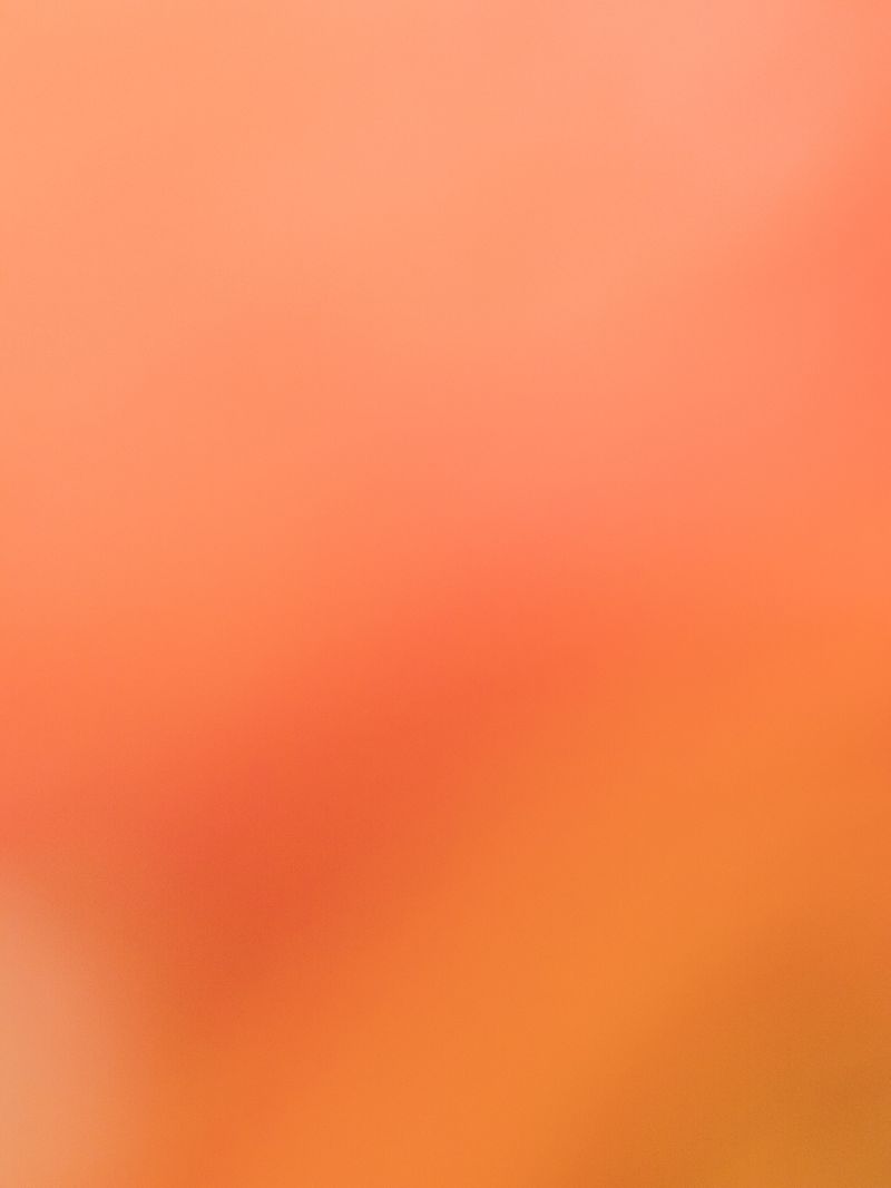 © tsutsutsu - ROSE