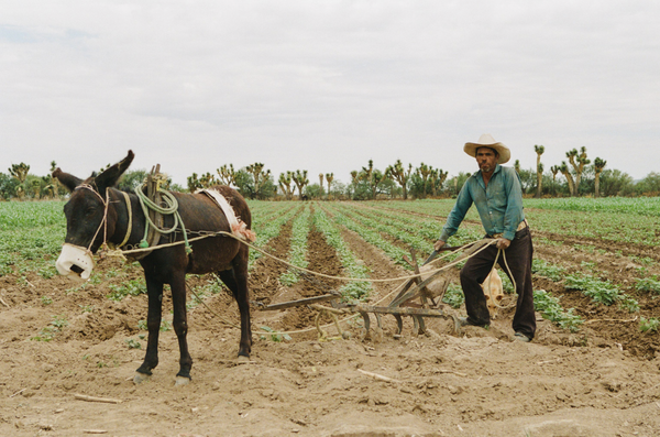 © Troy Montes - Image from the Cielo Azul / Cielo Nublado photography project