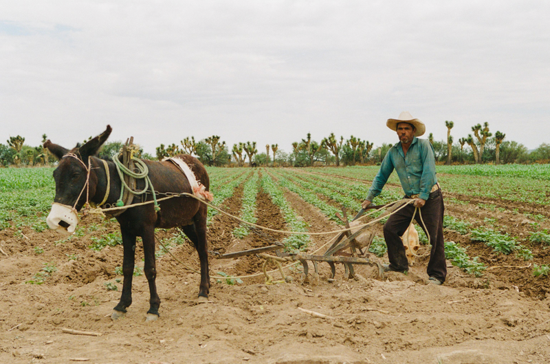 © Troy Montes - Image from the Cielo Azul / Cielo Nublado photography project