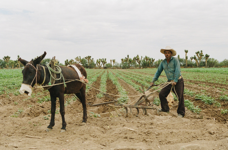 © Troy Montes - Image from the Cielo Azul / Cielo Nublado photography project