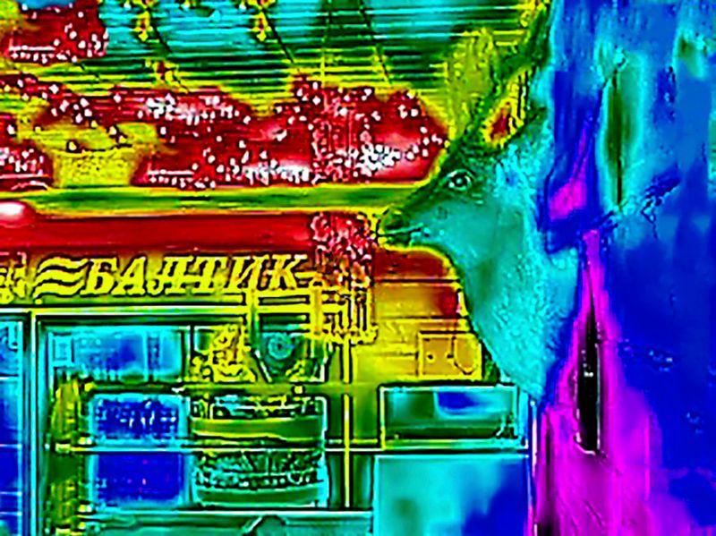 © ROGER GRASAS - Interior of a restaurant in Irkutsk