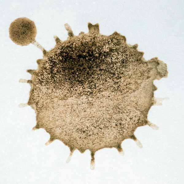 © ROGER GRASAS - A drop from my daughter's cup of chocolate