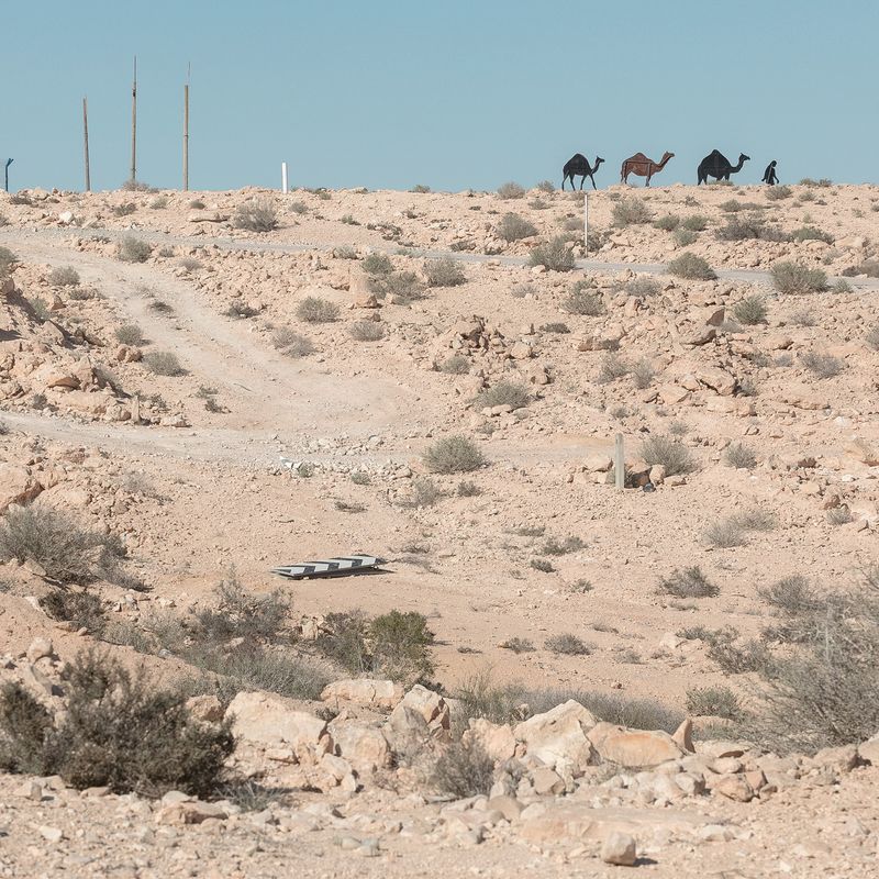© ROGER GRASAS - Negev desert