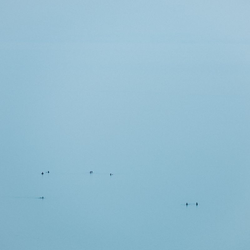 © ROGER GRASAS - Dead Sea