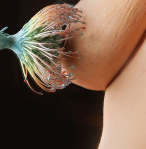 Birth of mother 2022