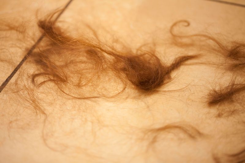 © Alina Gross - Image from the dont be afraid photography project