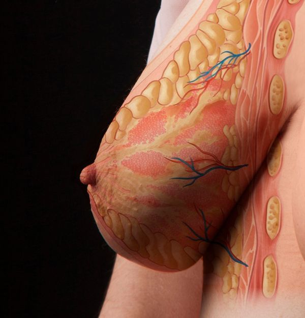 © Alina Gross - Image from the The nipple instinct photography project