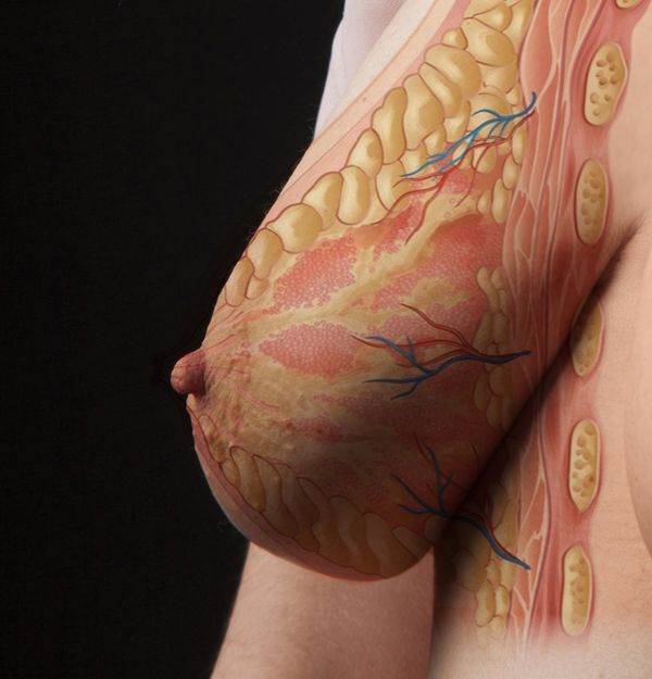 © Alina Gross - Image from the The nipple instinct photography project