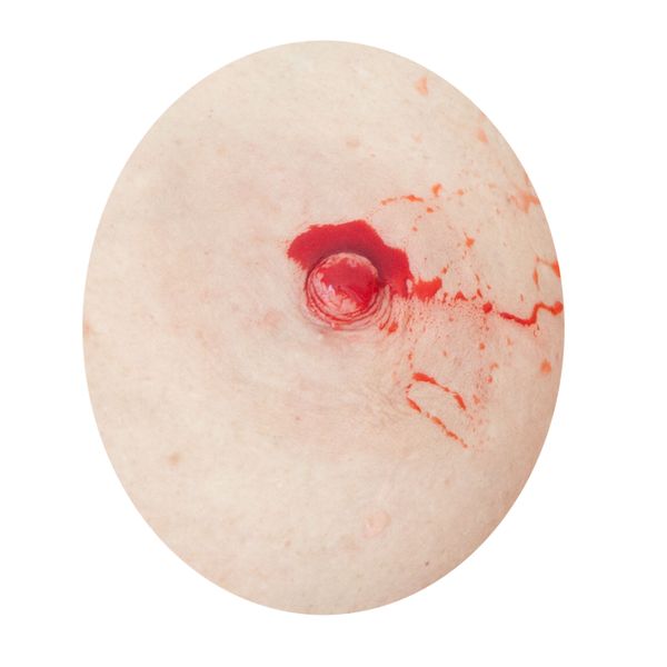 © Alina Gross - Image from the The nipple instinct photography project