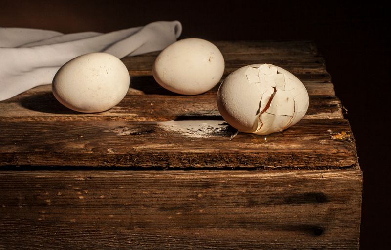 © Alina Gross - smell of sulflur, 2019