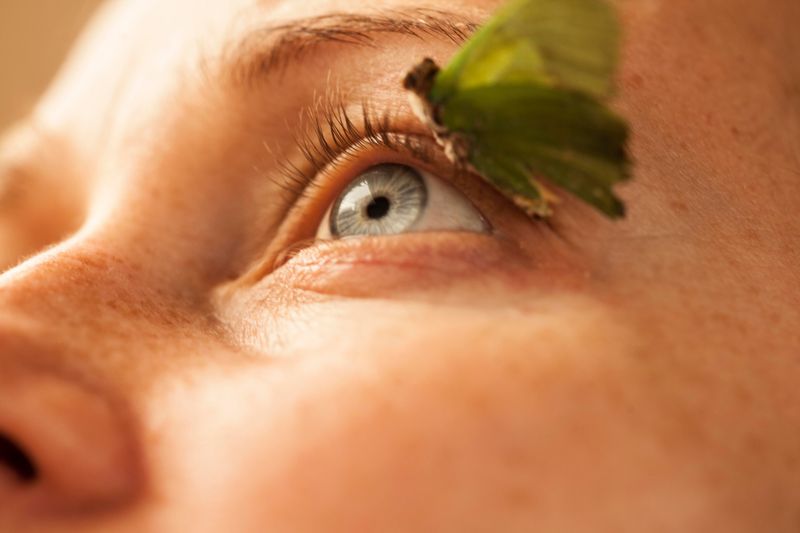 © Alina Gross - rebirth, 2019