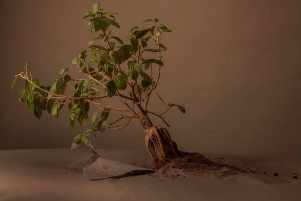 © Alina Gross - out of equilibrium, 2018