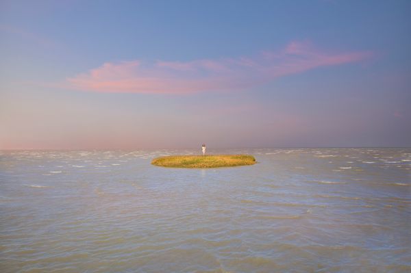 © Anne Nobels - Call of Venus